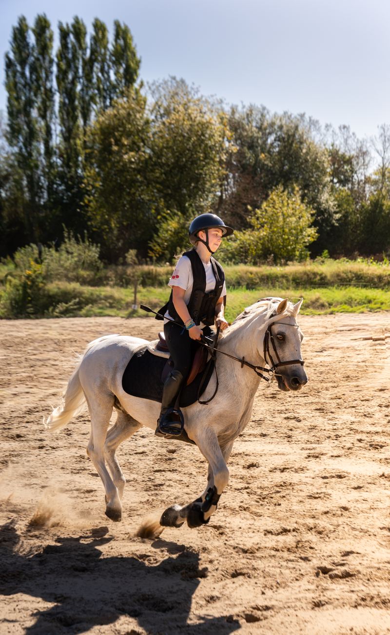 Une cavalière au galop dans la carrière